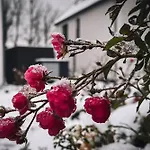 Buechelbergerei - Chaletdorf Altmuehlsee-brombachsee *